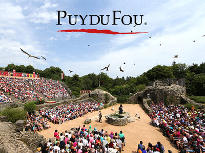 Coffret cadeau Billets Puy du Fou 2025 - 2 jours pour 2 adultes et 1 enfant