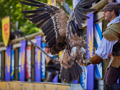 Doos Puy du Fou® 2024 - 2-daags familieverblijf in hotel La Citadelle voor 2 volwassenen en 2 kinderen