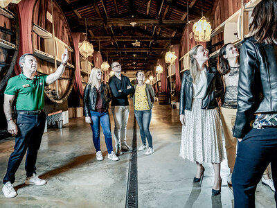 Visite et dégustation autour du vermouth français avec la maison Bacardi