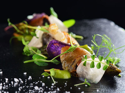 Gourmet-Pause für zwei: 1 einladendes 4-Gänge-Menü im Kanton Bern