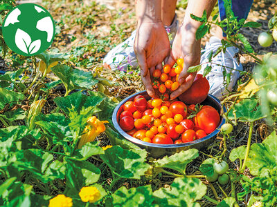 Coffret cadeau Atelier écologique de permaculture et visite guidée d'une ferme à Montpellier