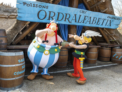 Toegang voor 1 volwassene tot Parc Astérix