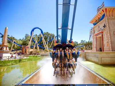 Doos Toegang voor 1 volwassene tot Parc Astérix