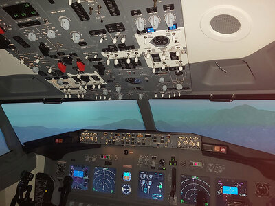 1h30 de simulation de vol en Boeing 737-800