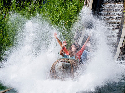 Toegang voor 1 volwassene en 1 kind tot Parc Astérix