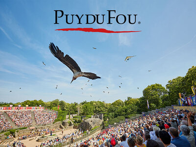 Coffret cadeau Billets Puy du Fou 2025 - 1 jour pour 2 adultes