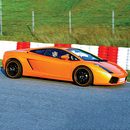 Passion pilotage - Lamborghini