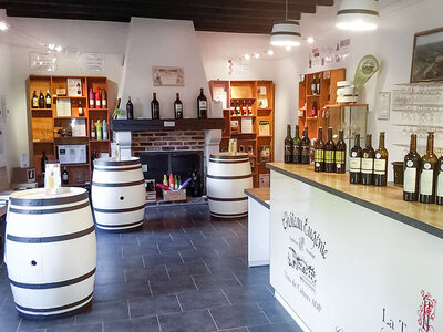 Coffret cadeau Atelier d'initiation à l'œnologie de 2h avec 2 bouteilles de vin, carnet en liège et kit dégustation