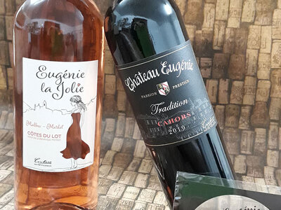 Coffret Atelier d'initiation à l'œnologie de 2h avec 2 bouteilles de vin, carnet en liège et kit dégustation