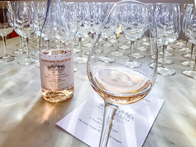 Marchesi Pancrazi: 6 bottiglie di vino rosé e rossi di Villa di Bagnolo