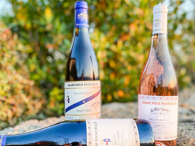 Cofanetto regalo 3 bottiglie di Pinot Nero firmate Marchesi Pancrazi direttamente a casa tua