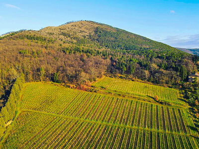 Cofanetto 3 bottiglie di Pinot Nero firmate Marchesi Pancrazi direttamente a casa tua