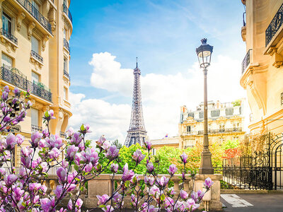 Geschenkbox Am Fuße des Eiffelturms: 3 Tage Paris mit der Familie in einem 4* Apartment