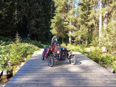 Geschenkbox Eine 2 Std. 30 Min. Tandem-Swincar Fahrt in der Nähe von Montreux