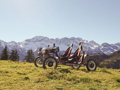 Box Swincar im Tandem: 1 Std. 5 Min. Spass und Überraschungen in Les Crosets