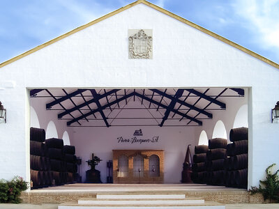 Caja regalo Cata de chocolates y vinos en Bodegas Pérez Barquero