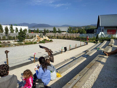 Cofanetto Esperienza di falconeria con aperitivo, spettacolo e visita ai rapaci a Cividale del Friuli