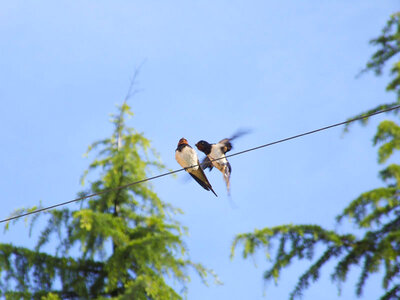 Cofanetto Birdwatching, tour naturalistico e degustazione per 4 persone