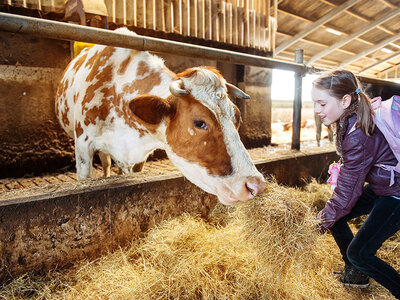 Cofanetto regalo Nella vecchia fattoria: attività con gli animali con degustazione per 2 adulti e 2 bambini