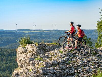 Balade guidée d’une demi-journée en vélo électrique dans le Jura