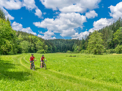 Box Geführter Halbtagesausflug mit dem Elektrofahrrad im Jura