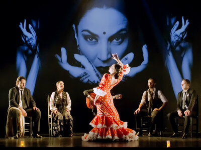 Caja Flamenco en Sevilla: espectáculo para 2 y encuentro con artistas