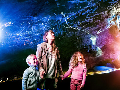 Coffret cadeau Excursion en famille aux Grottes de Han à Han-sur-Lesse