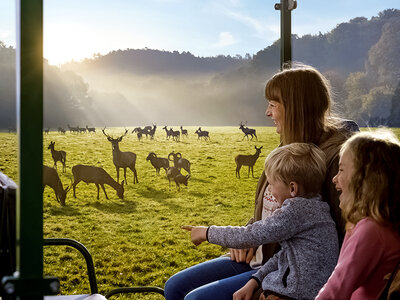 Familieuitstap naar het Wildpark en de Grotten van Han