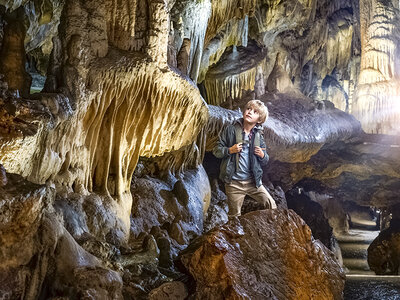 Doos Familieuitstap naar het Wildpark en de Grotten van Han