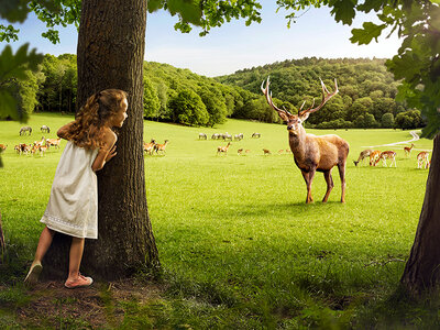 Coffret cadeau Sortie en famille au parc animalier et aux Grottes de Han