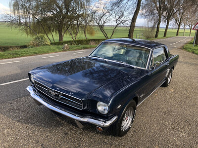 Doos Cruisen in een Ford Mustang in Zuid-Holland