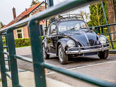 Doos Cruisen in een Volkswagen Kever Hardtop voor 4 personen