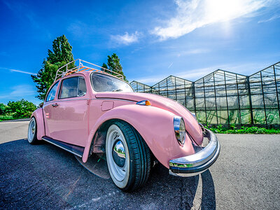 Cruisen in een Volkswagen Kever Hardtop voor 4 personen