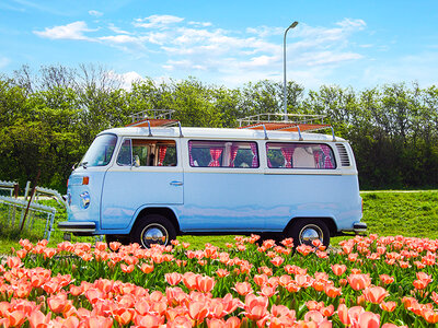 Cadeaubon Dagtocht in een Volkswagen T2 voor 8 personen