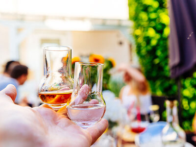 Cofanetto Aroma Wine Bar Enoteca: 1 bottiglia di grappa con 2 calici da degustazione a domicilio