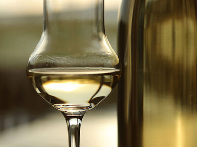 Cofanetto Brindisi a casa: 1 bottiglia di grappa, 1 di amaro e 2 calici da degustazione a domicilio