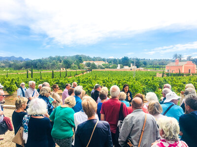 Huerto Ribera: visita a finca y degustación de productos valencianos