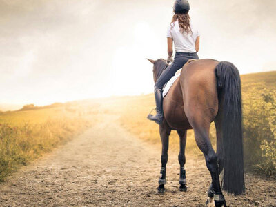 Cofanetto 1 esperienza a cavallo con pausa gourmet o attività per 2