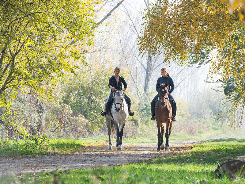 1 esperienza a cavallo con pausa gourmet o attività per 2