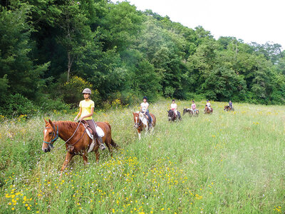 1 esperienza a cavallo con pausa gourmet o attività per 2