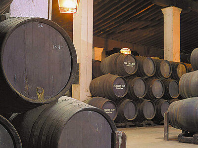 Caja regalo Visita con cata a las bodegas Tío Pepe