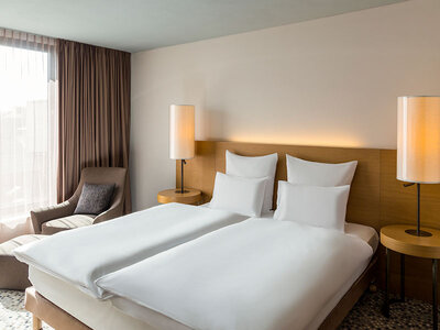 Cofanetto regalo Relax a Basilea: 1 notte con colazione e Prosecco in camera presso il Pullman Hotel Basel