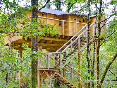 Coffret cadeau 3 jours en famille dans une maison dans les arbres avec mini-golf près de Poitiers