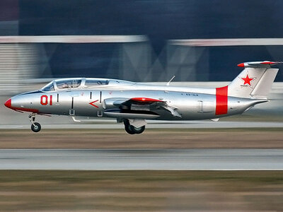 Vol de 30 minutes à bord d'un avion de chasse L-29 Delfin en Slovaquie