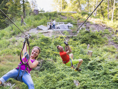 Aventure de plein air à Interlaken : accès à 9 parcours d'accrobranche pour 1 adulte