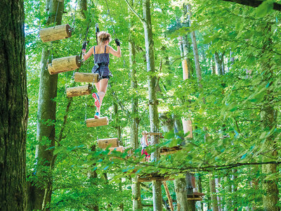 Box Grüner Nervenkitzel in Interlaken: Zugang zu 9 Erlebnispfaden für 1 Erwachsenen mit Einweisung