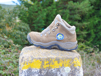 Caja Camino de Santiago Portugués con 7 noches, credenciales y seguro