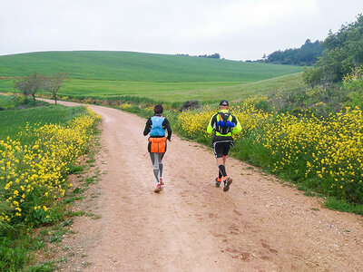 Camino de Santiago Portugués con 7 noches, credenciales y seguro