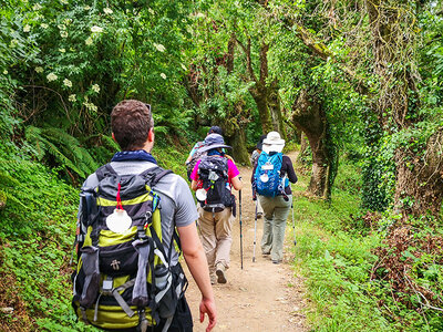 Caja regalo Camino de Santiago Portugués con 7 noches, credenciales y seguro