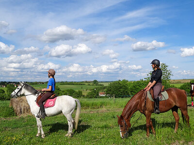 Coffret Coffret Cadeau Vorwerk
